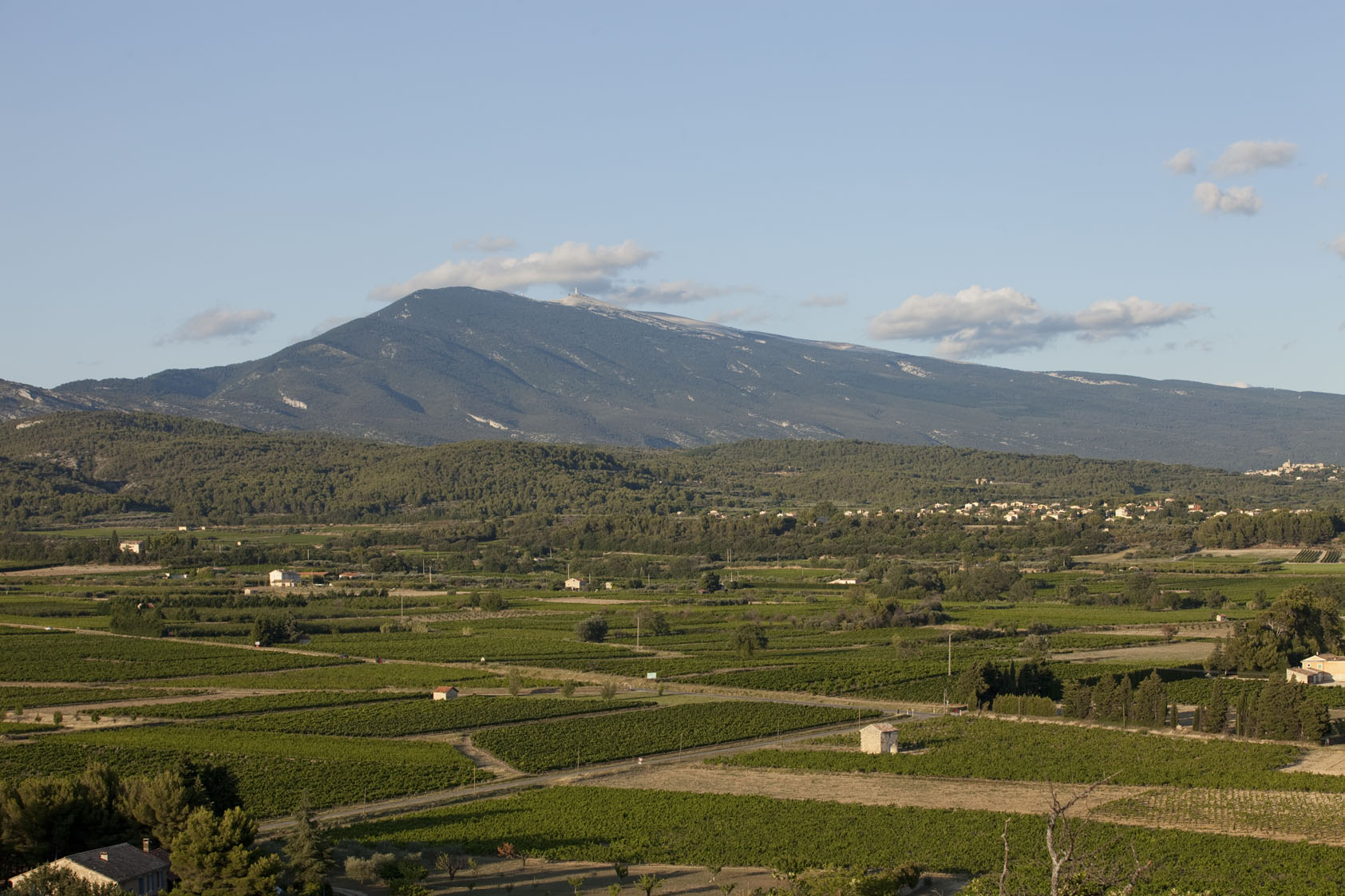 Domaine des Enchanteurs - AOC Ventoux et Muscat de Beaumes de Venise