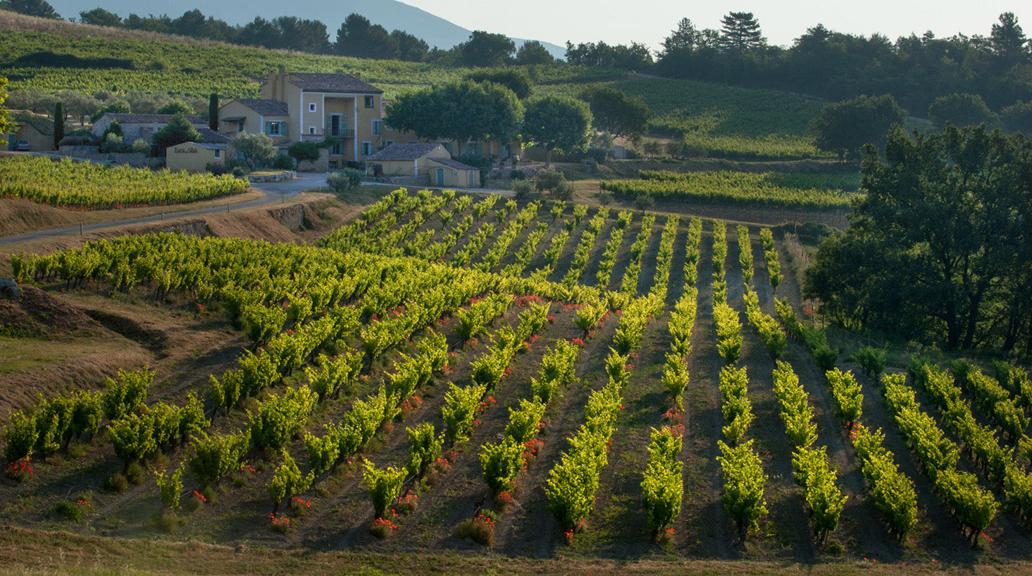 Domaine de Font Alba