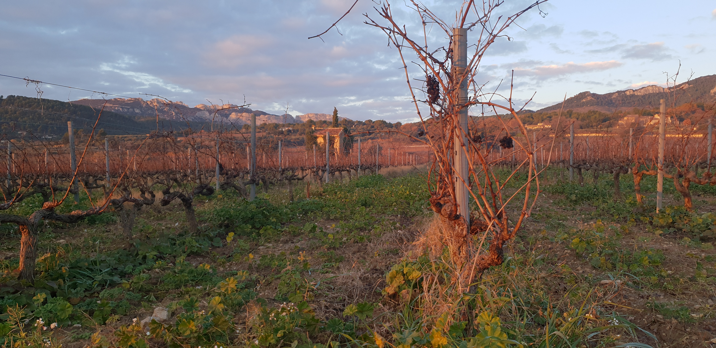 Domaine de Fenouillet